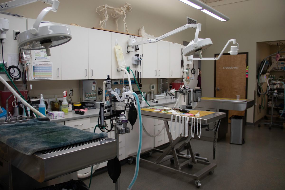 medical equipments in a surgery room
