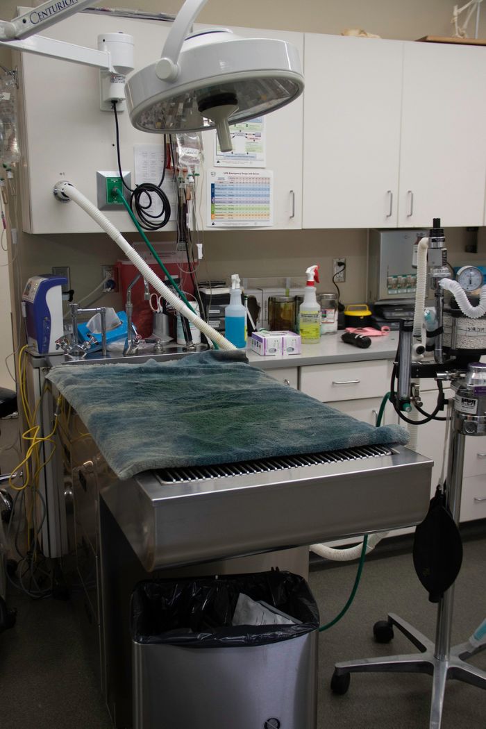 a medical equipment in a room