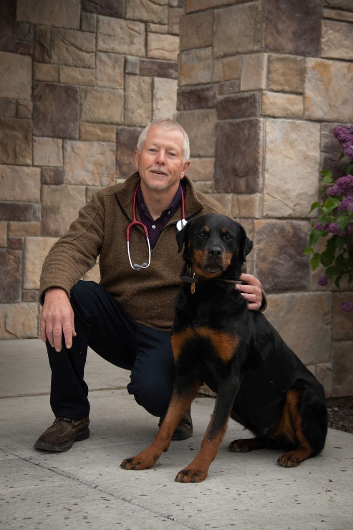 a vet with a stethoscope holding a dog